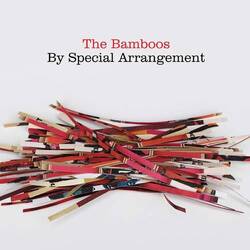 The Bamboos By Special Arrangement vinyl 2 LP gatefold