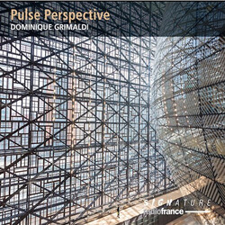 Jean-Philippe Collard-Neven; D Pulse Perspective CD