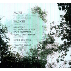 Orchestre De Lopera De Roue Faure Wagner Pelleas Et M CD
