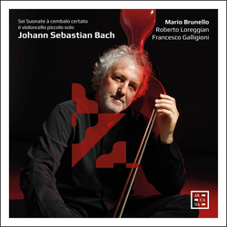 Mario Brunello; Roberto Loregg Bach Sei Suonate A Cembalo Ce 2 CD