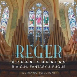 Adriano Falcioni Reger Organ Sonatas CD
