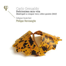 Collegium Vocale Gent; Philipp Gesualdo Dolcissima Mia Vita. CD