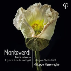 Collegium Vocale Gent; Philipp Monteverdi Il Quarto Libro De CD
