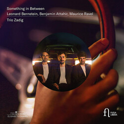 Trio Zadig Something In Between CD