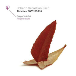 Collegium Vocale Gent / Phili Bach Motetten Bwv 225-230 Vinyl 2 LP