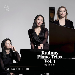 Greenwich Trio Brahms Piano Trios Vol. 1 Op CD