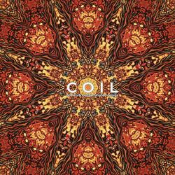 Coil Stolen & Contaminated Songs black vinyl 2 LP gatefold +download