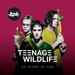 Ash Teenage WIldlife 25 Years of Ash vinyl 2 LP