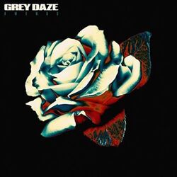 Grey Daze Amends vinyl LP