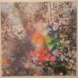 Four Tet Sixteen Oceans vinyl 2 LP