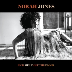Norah Jones Pick Me Up Off The Floor vinyl LP