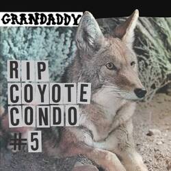 BF2020 Grandaddy Rip Coyote Condo #5 12in