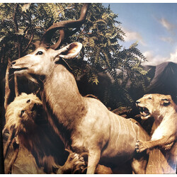 Interpol Our Love To Admire vinyl 2 LP