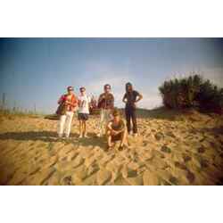 Osees