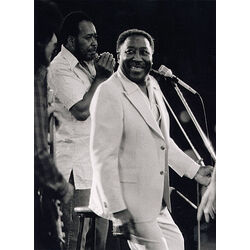 Muddy Waters